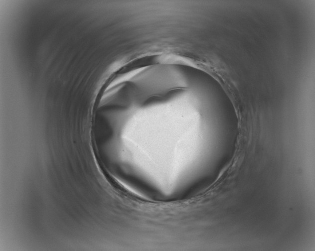 X0000063500003200602032029