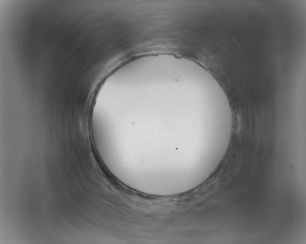 X0000063500004200602032029