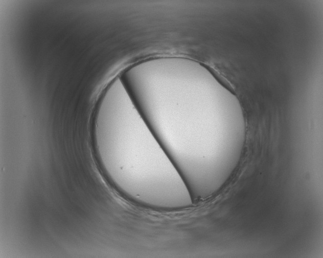 X0000063500005200602032029