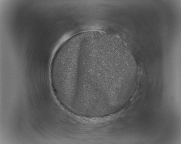 X0000063500006200602032029