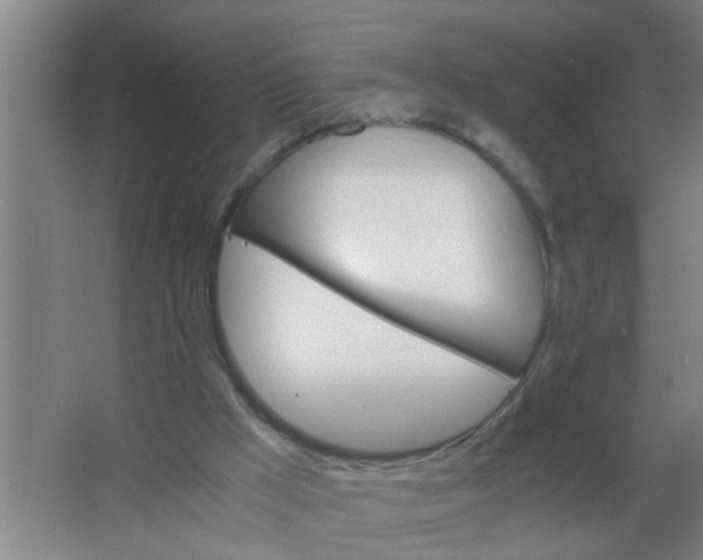 X0000063500009200602032029