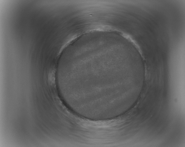 X0000063500010200602032029