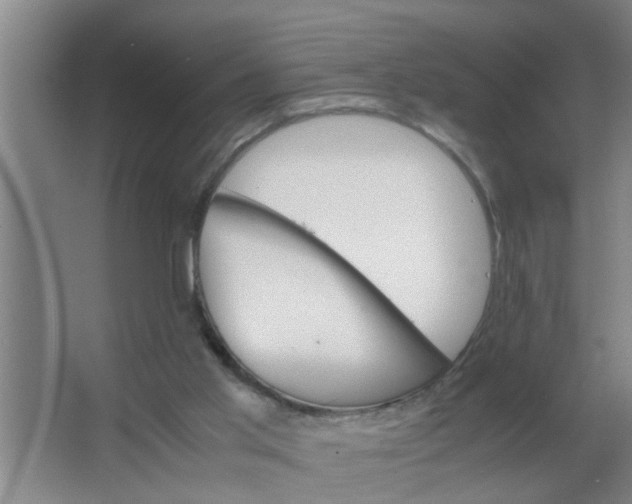 X0000063500013200602032029