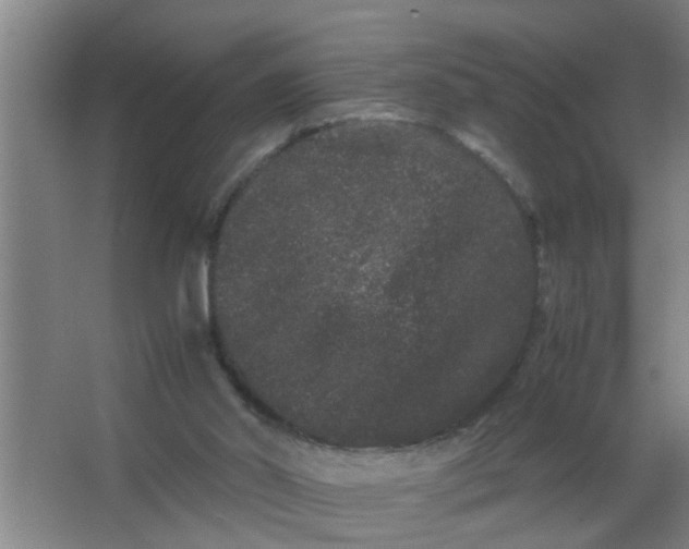 X0000063500014200602032029