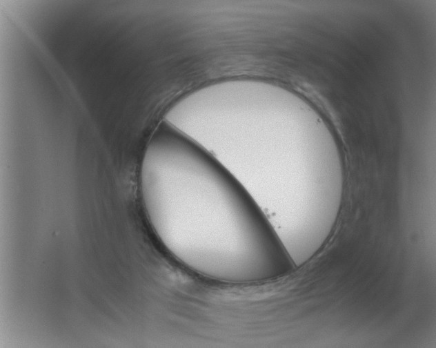 X0000063500017200602032029