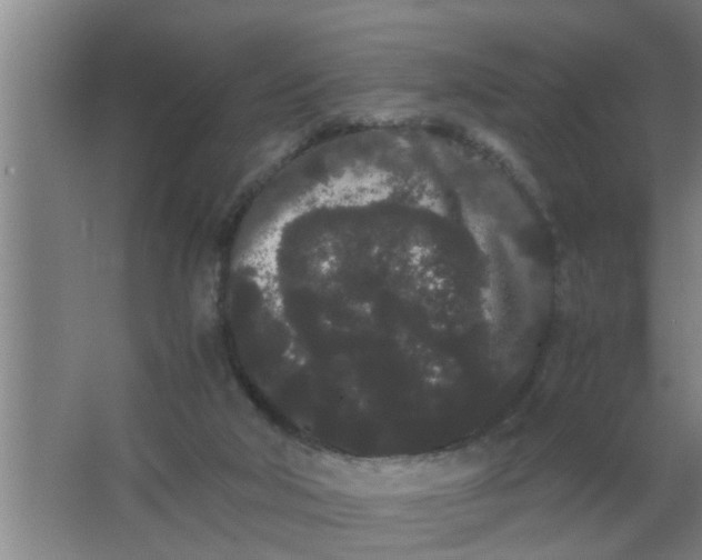 X0000063500018200602032029