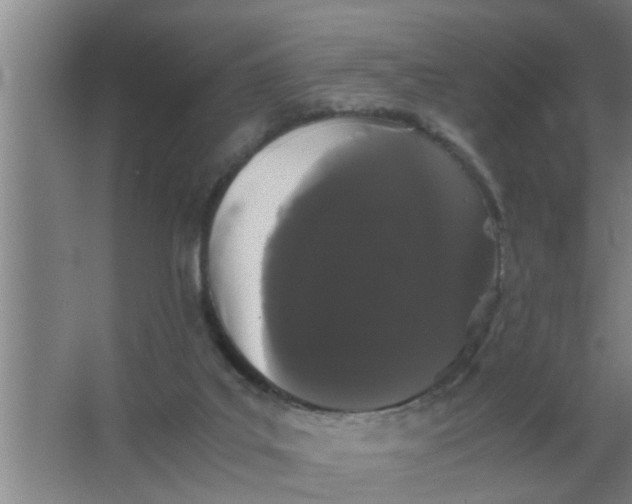 X0000063500019200602032029