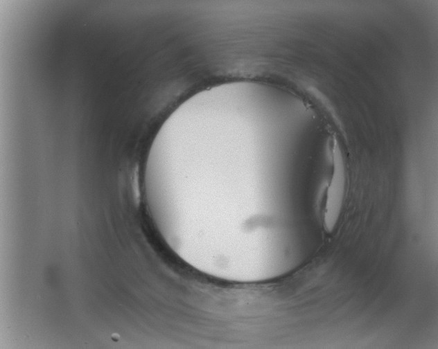 X0000063500020200602032029