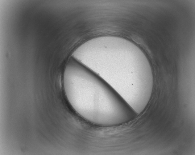 X0000063500021200602032029