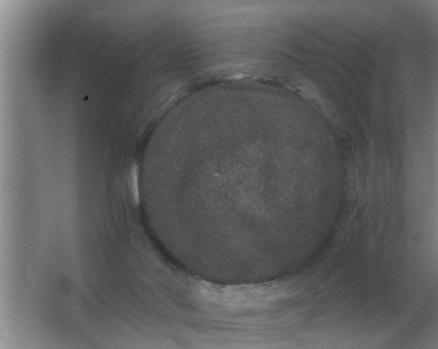 X0000063500022200602032029