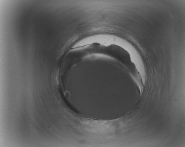 X0000063500023200602032029