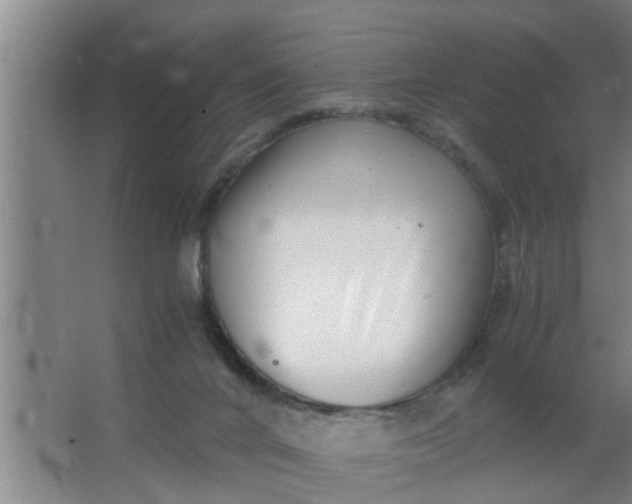 X0000063500024200602032029