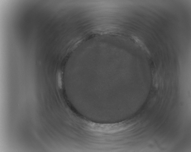 X0000063500026200602032029