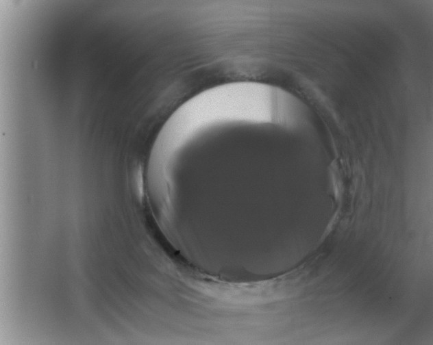 X0000063500027200602032029