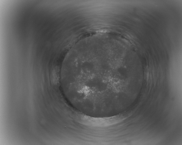 X0000063500030200602032029