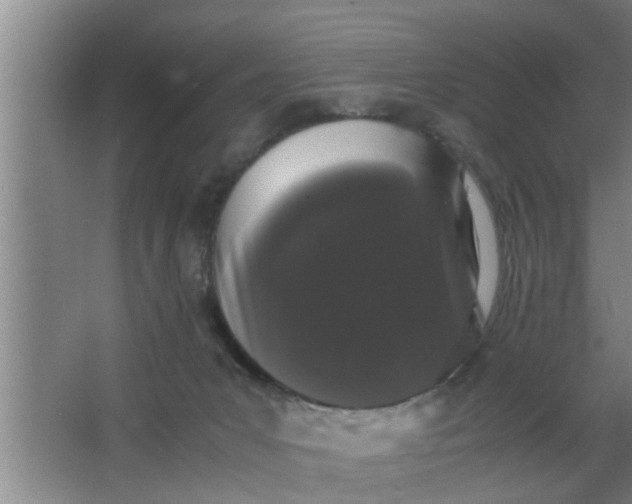 X0000063500031200602032029