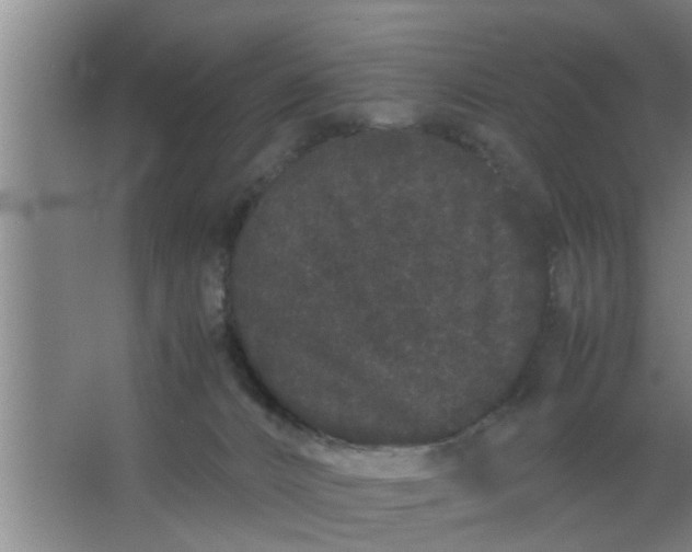 X0000063500032200602032029