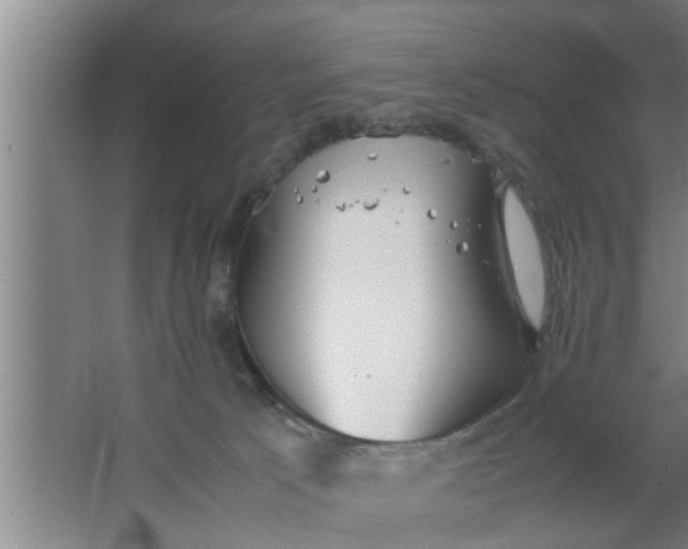 X0000063500033200602032029