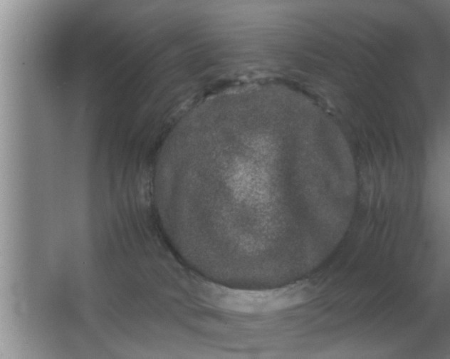 X0000063500034200602032029