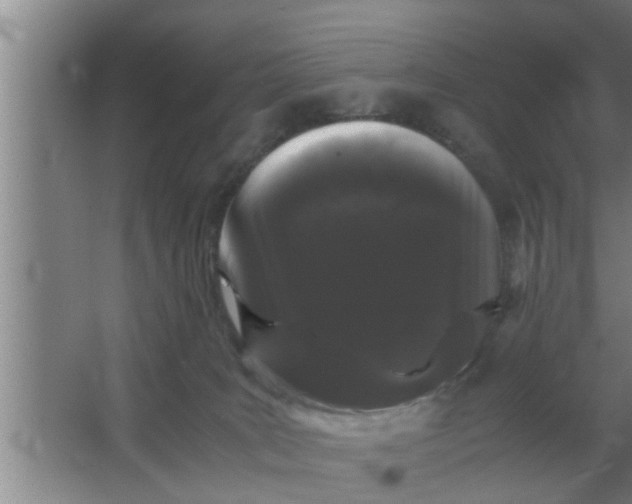 X0000063500035200602032029