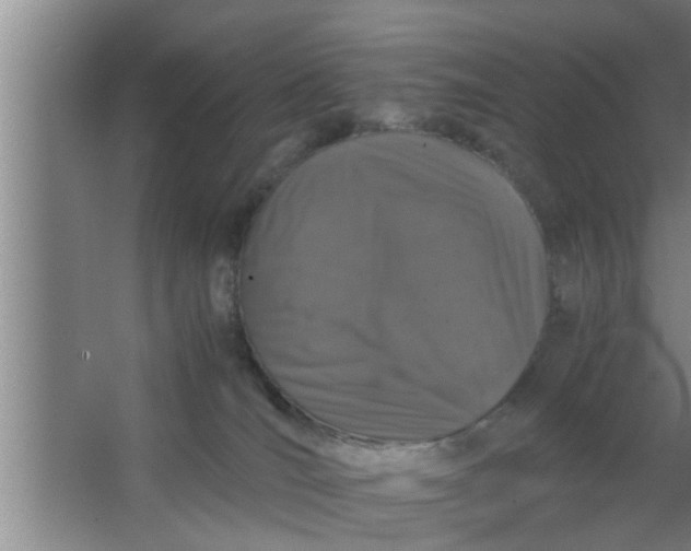 X0000063500036200602032029