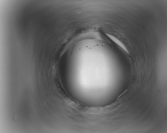 X0000063500037200602032029