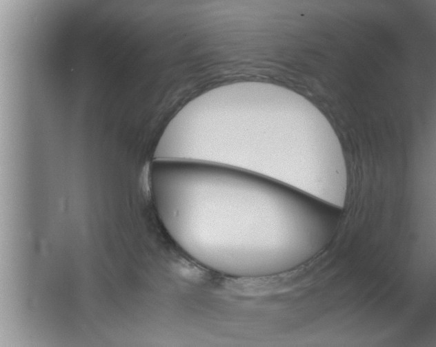 X0000063500041200602032029