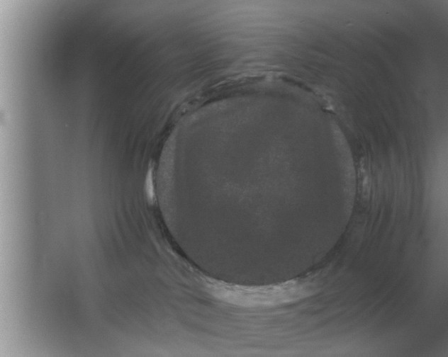 X0000063500042200602032029