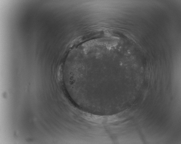 X0000063500043200602032029