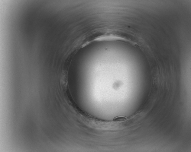 X0000063500044200602032029