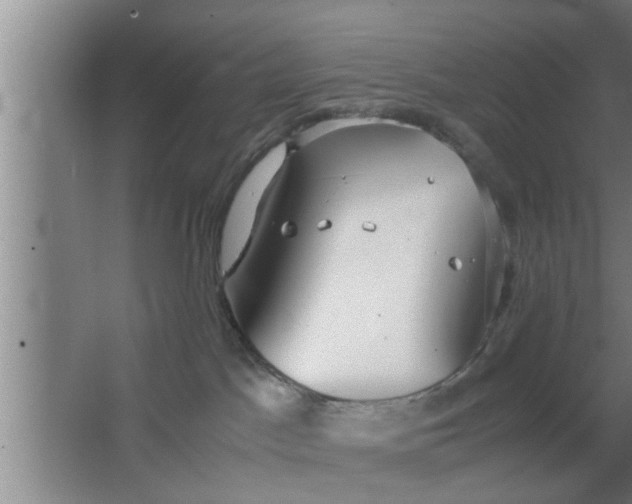 X0000063500045200602032029