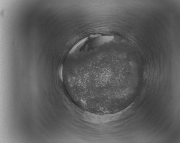 X0000063500047200602032029