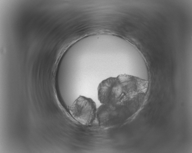 X0000063500049200602032028