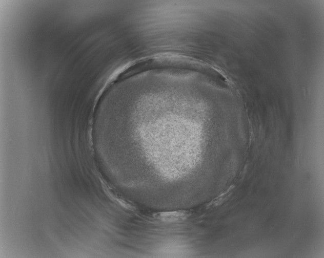 X0000063500050200602032028