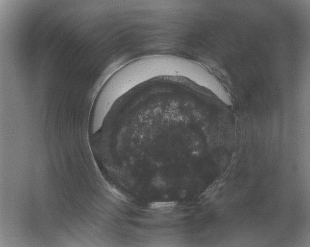 X0000063500051200602032028