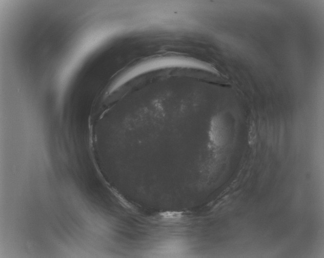 X0000063500052200602032028