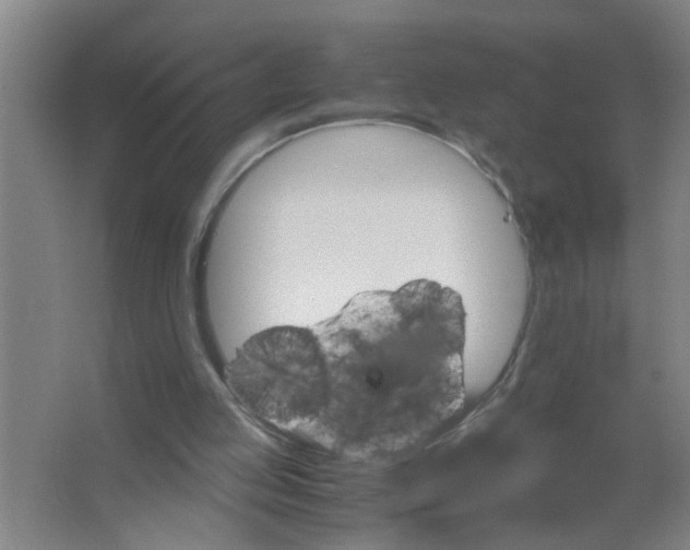 X0000063500053200602032028