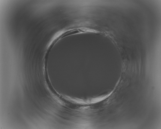 X0000063500054200602032028