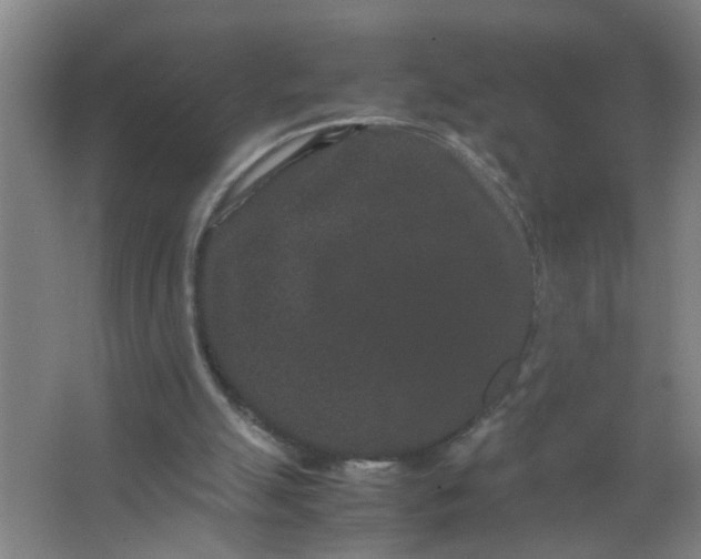 X0000063500055200602032028