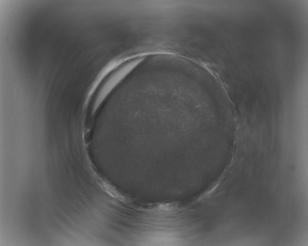 X0000063500056200602032028