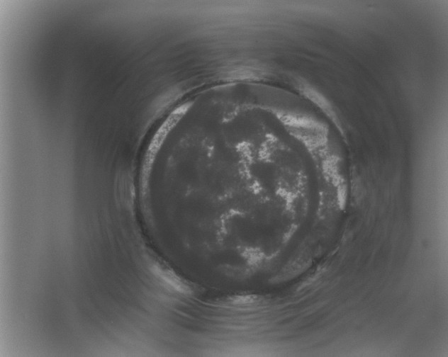 X0000063500059200602032028