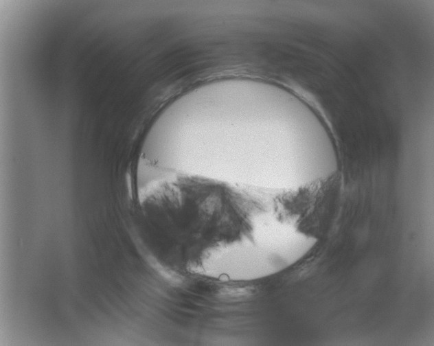 X0000063500061200602032028