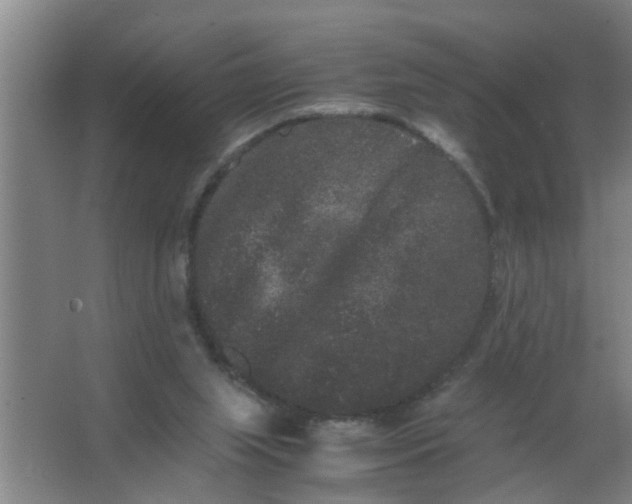 X0000063500063200602032028