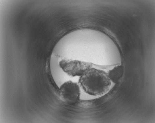 X0000063500065200602032028