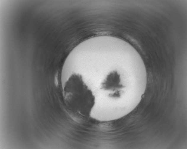 X0000063500069200602032028