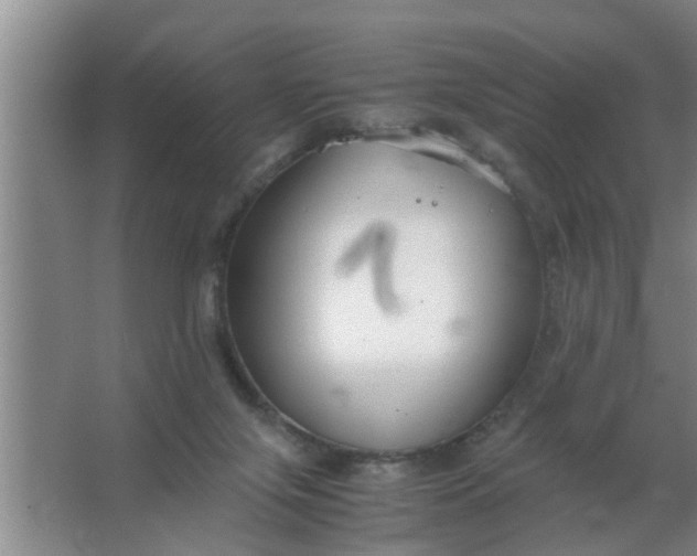 X0000063500071200602032028