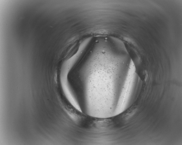 X0000063500072200602032028