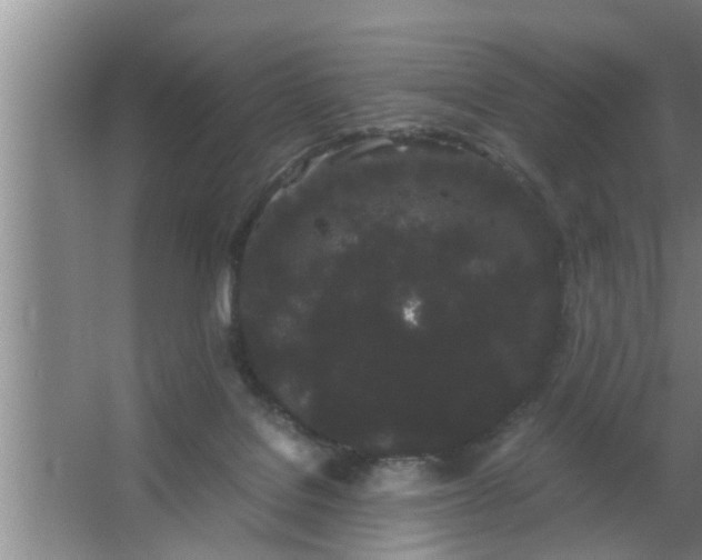 X0000063500076200602032028