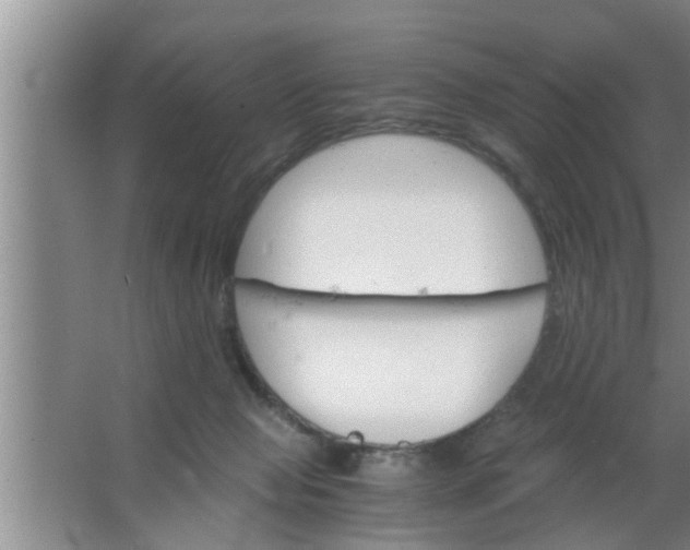 X0000063500077200602032028