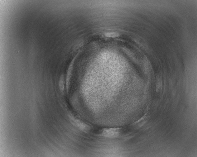 X0000063500078200602032028